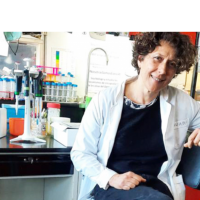 Mujeres en la Ciencia: Andrea Gamarnik