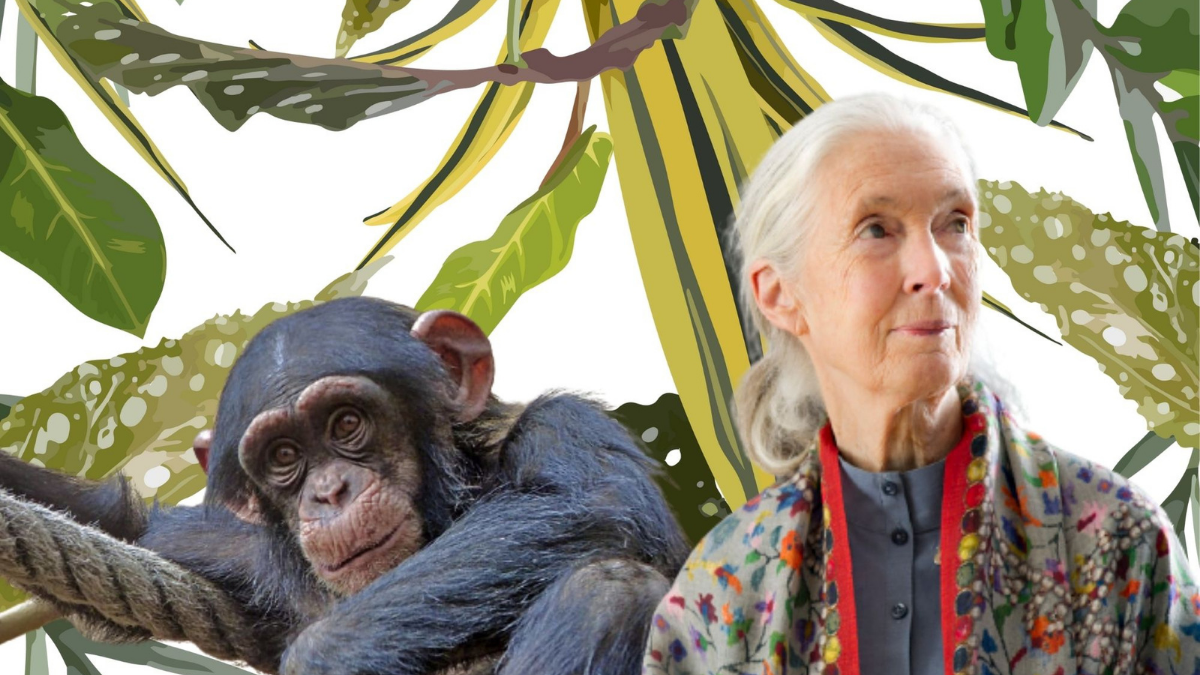 Mujeres en la ciencia: Jane Goodall