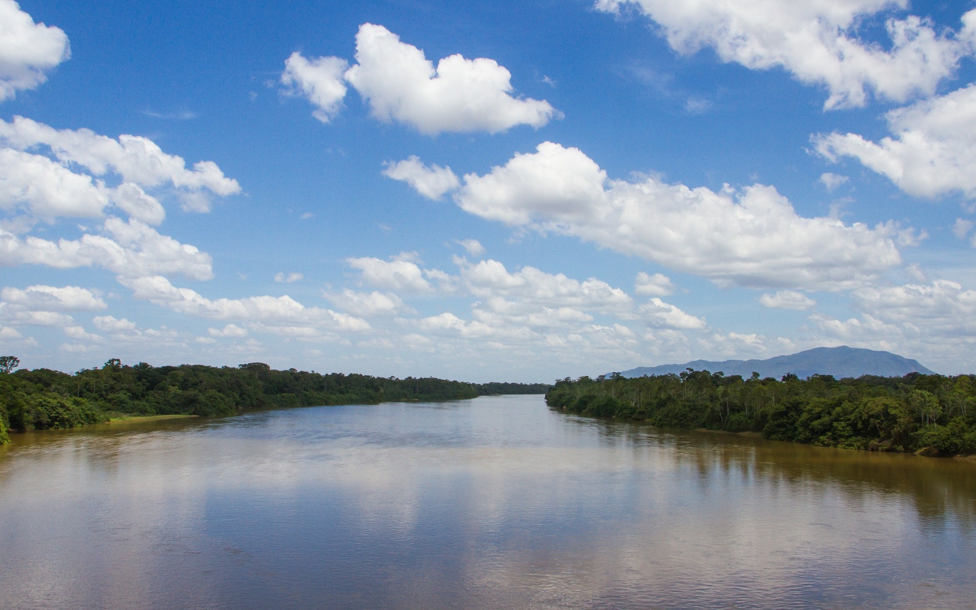 Productos farmacéuticos amenazan ríos, en especial en mundo en desarrollo